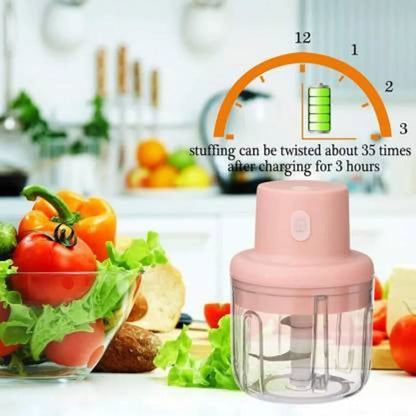 Mini Food Chopper