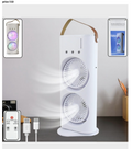 Double-Head Desk Fan with RGB Night Light